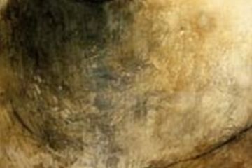 Titolo: Parete<br>Autore: Ana Sofia Velez Moreira - Premio: Archivio Casorati