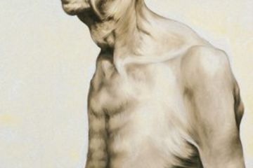 Titolo: Inesorabile<br>Autore: Giulia Quaresima - Premio: Comune di Pavarolo<br>