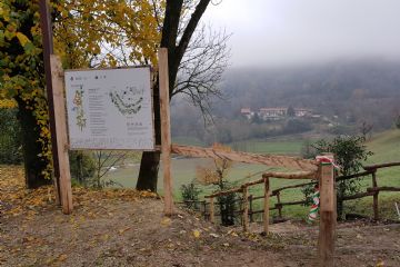 Sfoglia la galleria